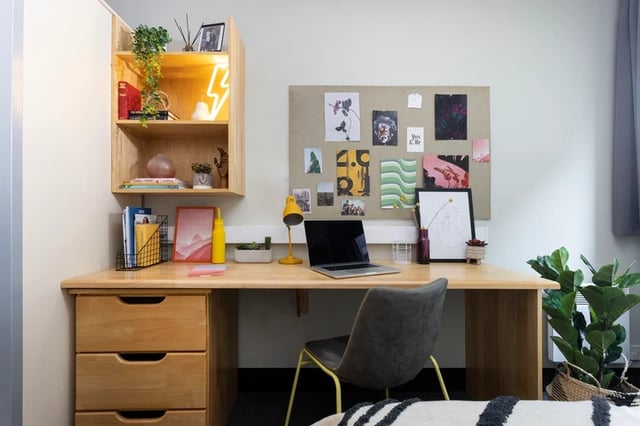 Desk with laptop plants and artwork study area at Rosalind Franklin Halls in Portsmouth Student Accommodation