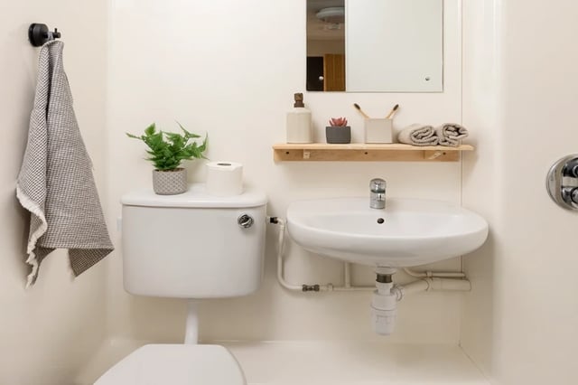 Toilet sink towel plant toiletries shelf bathroom at Rosalind Franklin Halls in Portsmouth Student Accommodation