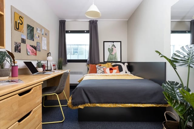 Bed desk laptop corkboard and plant bedroom at Rosalind Franklin Halls in Portsmouth Student Accommodation