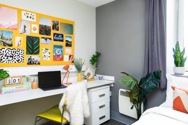 Desk with laptop plants and photos study area at Margaret Rule Hall in Portsmouth Student Accommodation