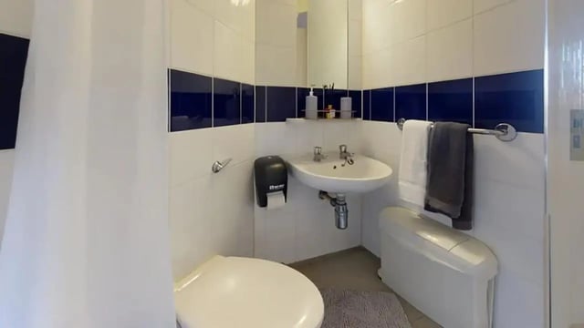 Toilet sink and shower curtain bathroom at Creek Court in London Student Accommodation