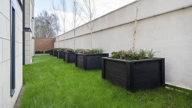 Black wooden planters with plants lawn exterior at Waterloo House in York Student Accommodation