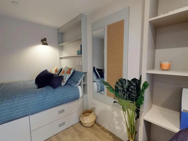 Bed with drawers lamp mirror pegboard plant bedroom at COSMOS in Sheffield Student Accommodation