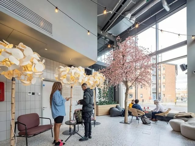 Modern common area with people and faux tree at COSMOS in Sheffield Student Accommodation