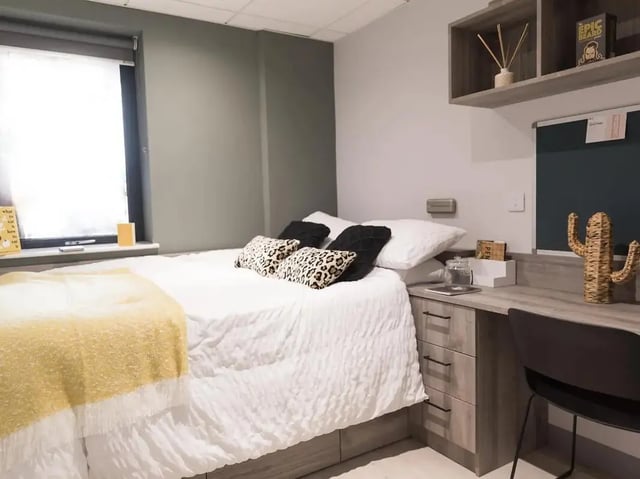 Bed with patterned pillows desk and cactus decoration bedroom at Crown Place Swansea in Swansea Student Accommodation