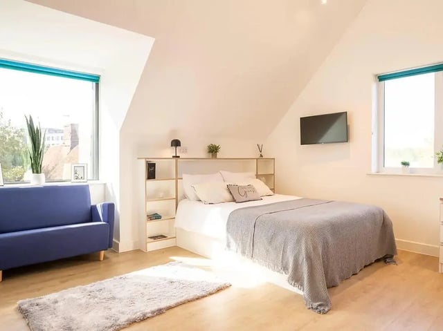 Bed TV blue sofa rug shelving bedroom at Elmstead Place in Colchester Student Accommodation