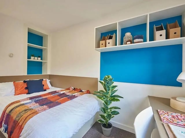 Bed desk plant and shelves bedroom at Grand Felda House in Wembley Student Accommodation