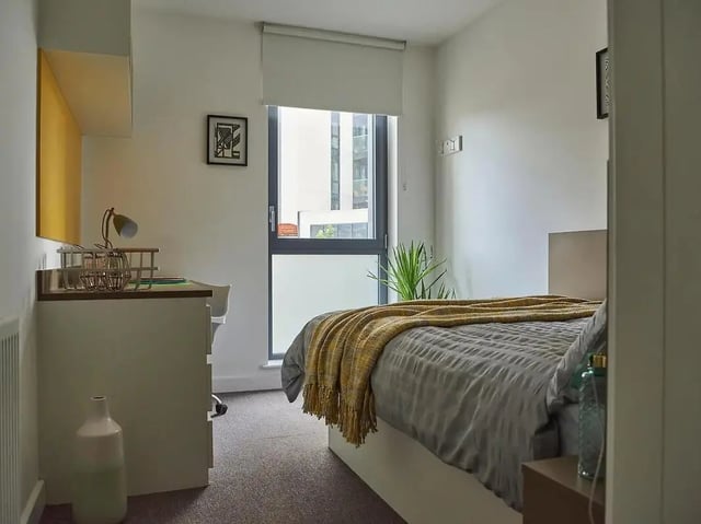Desk bed and plant bedroom at Grand Felda House in Wembley Student Accommodation