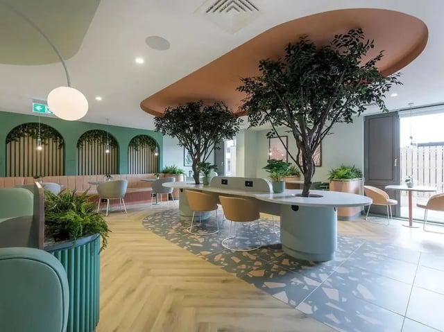 Modern communal area with integrated trees and seating study area at Yugo Bottleworks in Cork Student Accommodation