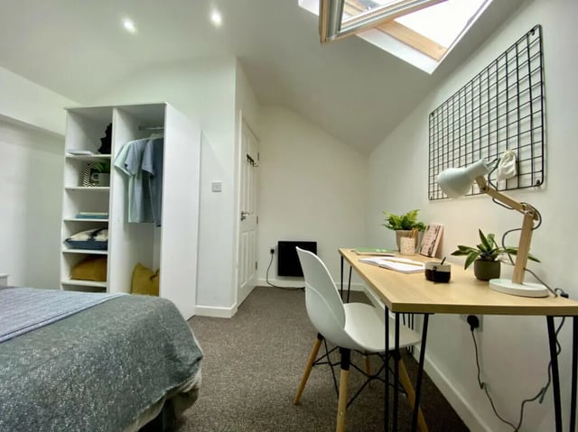 Bed closet desk lamp plants study area bedroom at 12 Bedroom House at 66, Upper Allen Street in Sheffield Student Accommodation