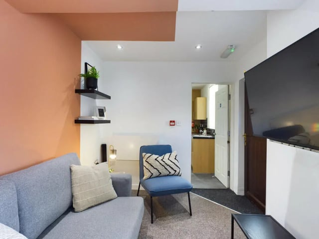 Grey sofa blue chair shelves plant TV living room at 4 Bedroom House at 7, Westbourne Grove in Lincoln Student Accommodation