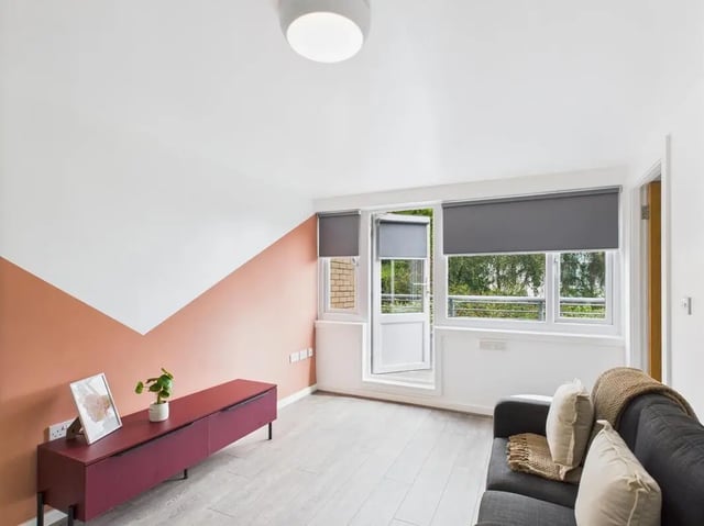 Maroon cabinet picture plant sofa living room at 1 Bedroom House at Flat 3, Grove Street Studios, The Groves in Liverpool Student Accommodation
