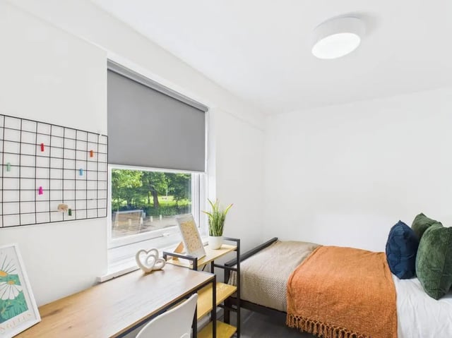 Bed desk grid wall plant window bedroom at 1 Bedroom House at Flat 3, Grove Street Studios, The Groves in Liverpool Student Accommodation