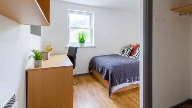 Desk plant globe bed with patterned pillows bedroom at Alexandra Hall in Aberystwyth Student Accommodation