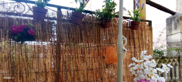 Potted plants and flowers on bamboo screen balcony exterior at 2-bedroom house, with outdoor area in La Spezia Student Accommodation