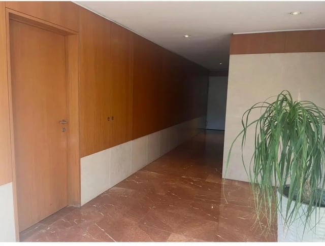 Wooden doors and potted plant hallway interior at Exclusive 2 Bedroom Apartment with a balcony close to Minho University in Guimaraes Student Accommodation