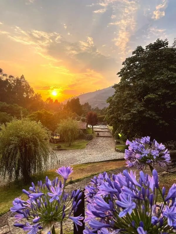 Purple flowers sunset sunset mountain landscape exterior at Charming and serene country house in Sopo, Vila Nova de Cerveira in Viana Do Castelo Student Accommodation