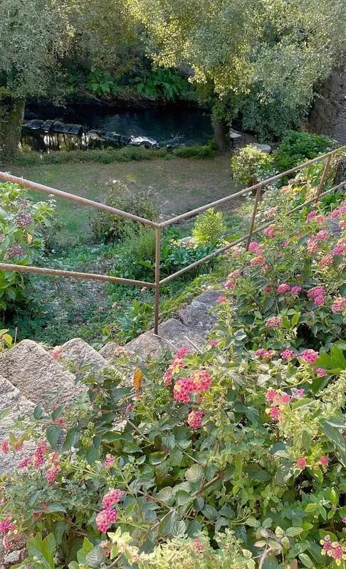 Stone steps with flowers overlook a stream exterior at Charming and serene country house in Sopo, Vila Nova de Cerveira in Viana Do Castelo Student Accommodation