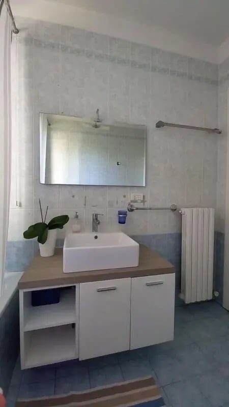 Sink cabinet mirror radiator plant bathroom at Comfy 3 bedroom apartment close to University of Parma in Parma Student Accommodation