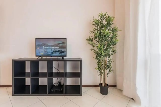 TV on shelf with plant living room at Excellent 3-bedroom apartment next to General Torres metro station in Vila Nova De Gaia Student Accommodation