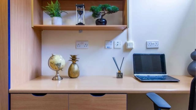 Desk with laptop pineapple globe and plants study area at Ben Russell Court in Leicester Student Accommodation
