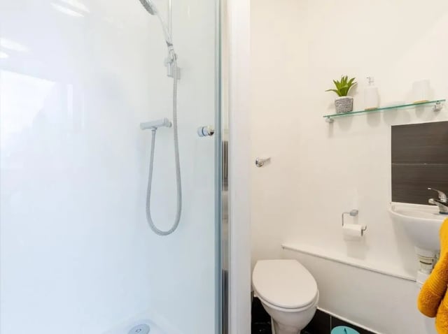Shower toilet sink and plant bathroom at Chelsea Lightfoot Hall in London Student Accommodation