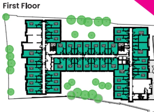 Floor plan with many student rooms floor plan at Valerian in York Student Accommodation