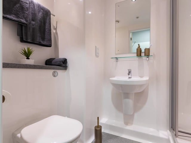 Toilet sink mirror towels plant bathroom at AXO Kingston in Kingston Upon Thames Student Accommodation