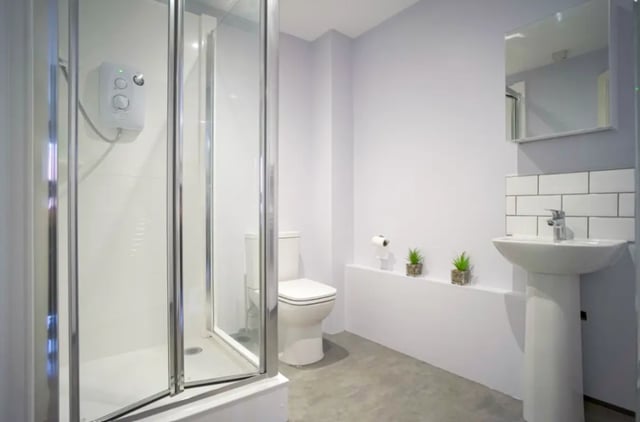 Shower toilet sink mirror and plants bathroom at Park View in Manchester Student Accommodation