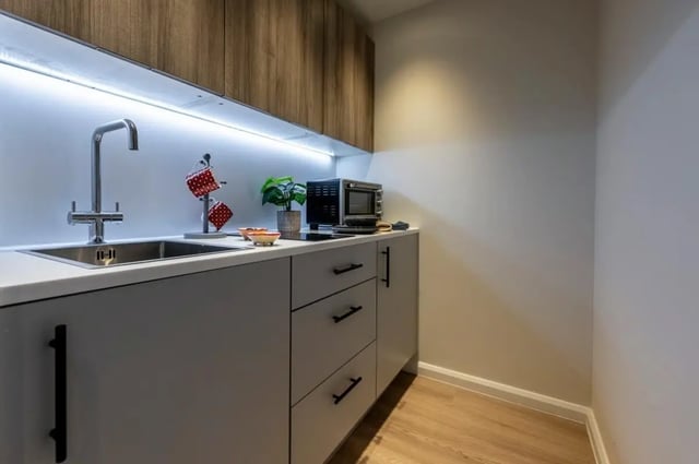 Sink microwave mugs plant grey cabinets kitchen at St. Andrew Street in Aberdeen Student Accommodation