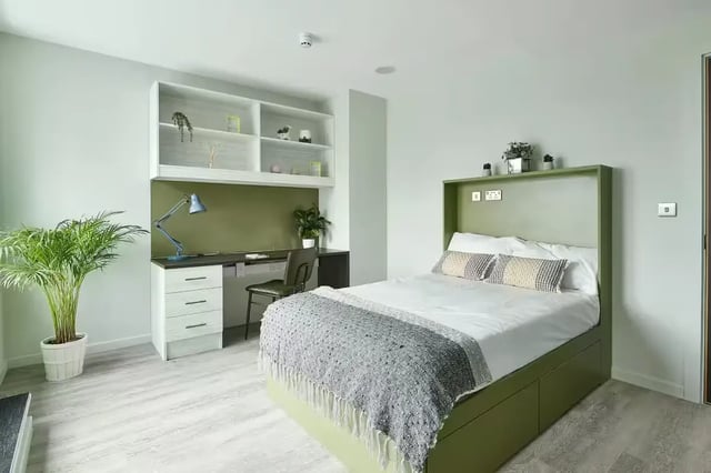 Bed desk shelves plant and chair bedroom at Flora Building - Hoxton in London Student Accommodation