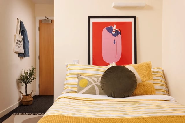 Bed with art plant and coat bedroom interior at Byron Central in Newcastle Upon Tyne Student Accommodation