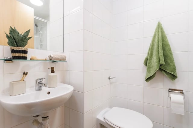 Sink toilet green towel and plant bathroom at Byron Central in Newcastle Upon Tyne Student Accommodation