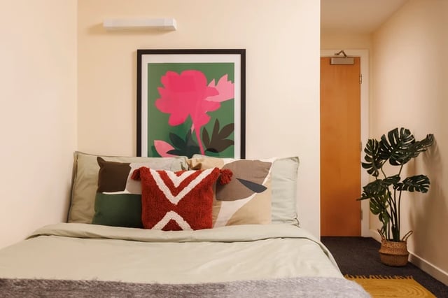 Bed with pillows artwork and plant bedroom at Byron Central in Newcastle Upon Tyne Student Accommodation