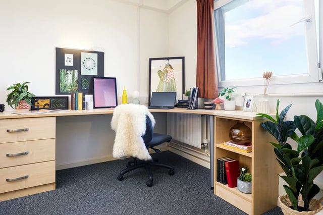 Desk chair laptop plants and books study area at James Watt in Birmingham Student Accommodation