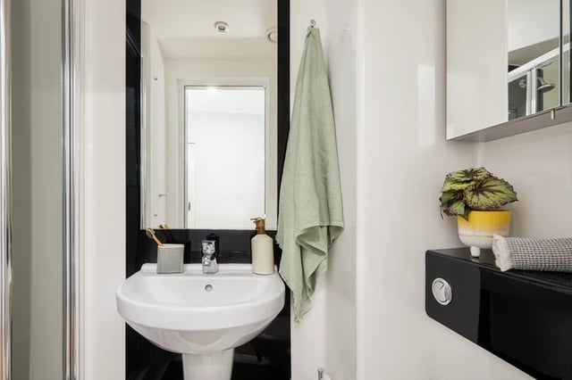 Sink soap dispenser towel and plant bathroom at Battery Park in Birmingham Student Accommodation
