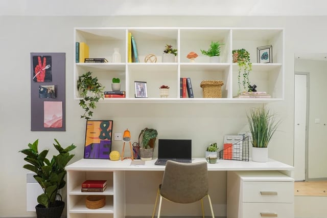 Desk shelves plants laptop and chair study area at Battery Park in Birmingham Student Accommodation