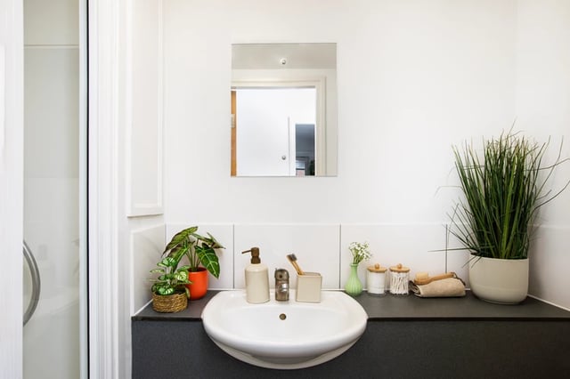 Sink with plants and mirror Bathroom at Romano Court in London Student Accommodation