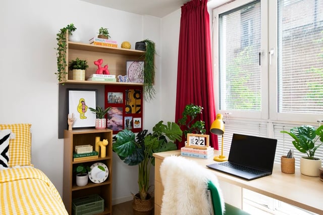 Desk laptop plants and bookshelf bedroom area at Romano Court in London Student Accommodation