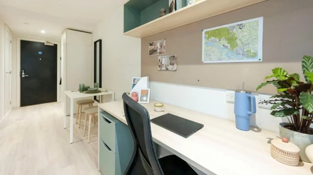 Desk chair laptop map and plants study area at Parklands in Dundee Student Accommodation
