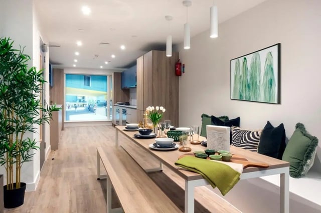 Dining area with table benches kitchen and plants Living room at The Artisan in Dublin Student Accommodation