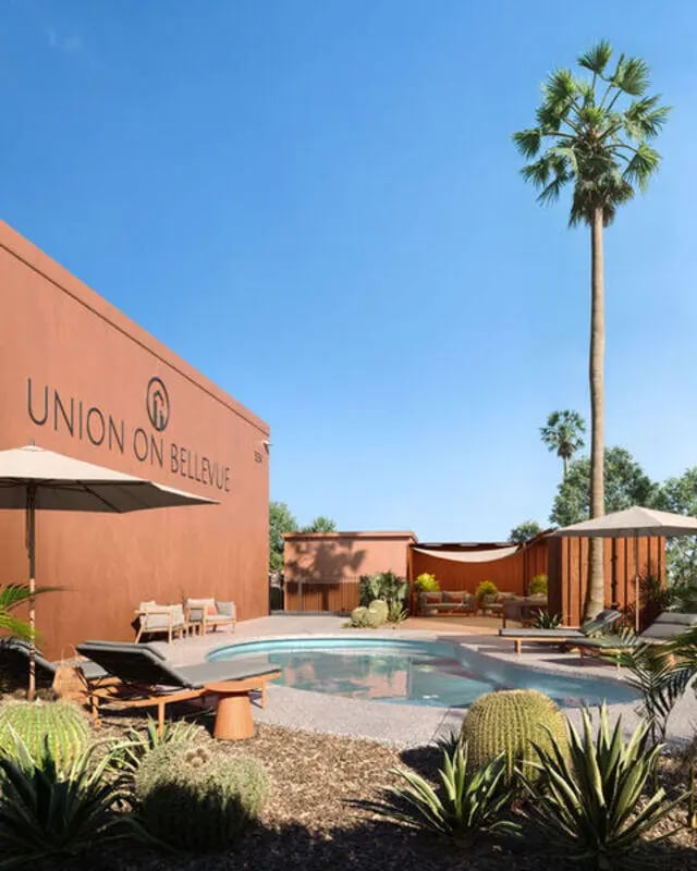 Pool lounge chairs umbrellas cacti exterior at Union on Bellevue in Tucson Student Accommodation
