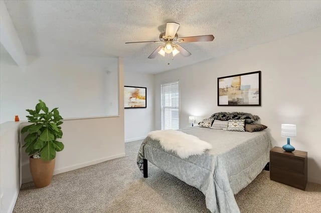 Bed with pillows fan plant art bedroom at Across The Street Apartments in Denton Student Accommodation