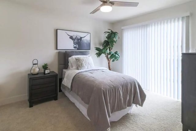 Bed nightstand plant wall art bedroom at Aero Apartments in Davis Student Accommodation