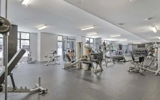 Fitness equipment in large room gym at 4th Street Commons Apartments in Miami Student Accommodation