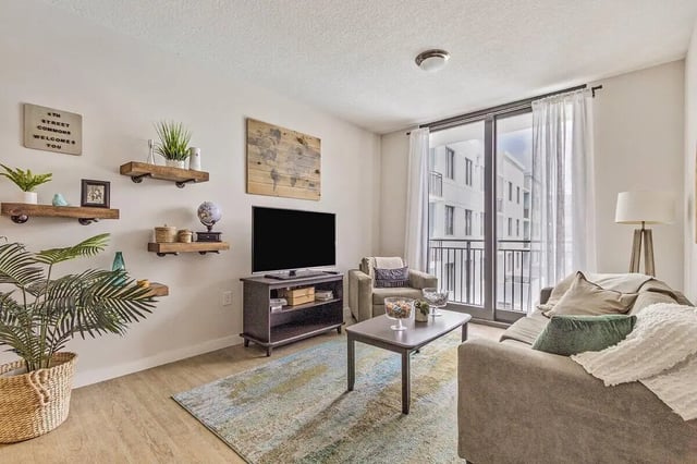 Shelves plants TV sofa rug and balcony living room at 4th Street Commons Apartments in Miami Student Accommodation