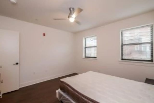 Bed fan door two windows bedroom at Cooper Village in Camden Student Accommodation