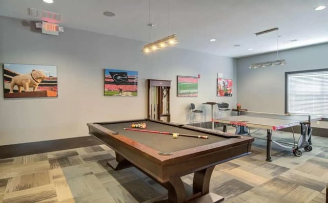 Pool table ping pong table artwork playing area at The Flats At Carrs Hill in Athens Student Accommodation