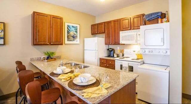 Kitchen with granite counter dishwasher and appliances kitchen at The Courtyards Student Apartments in Ann Arbor Student Accommodation