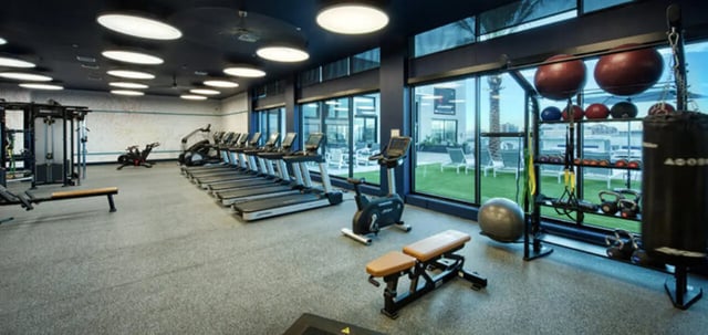 Treadmills exercise bikes weights and punching bag gym at Canvas in Tempe Student Accommodation